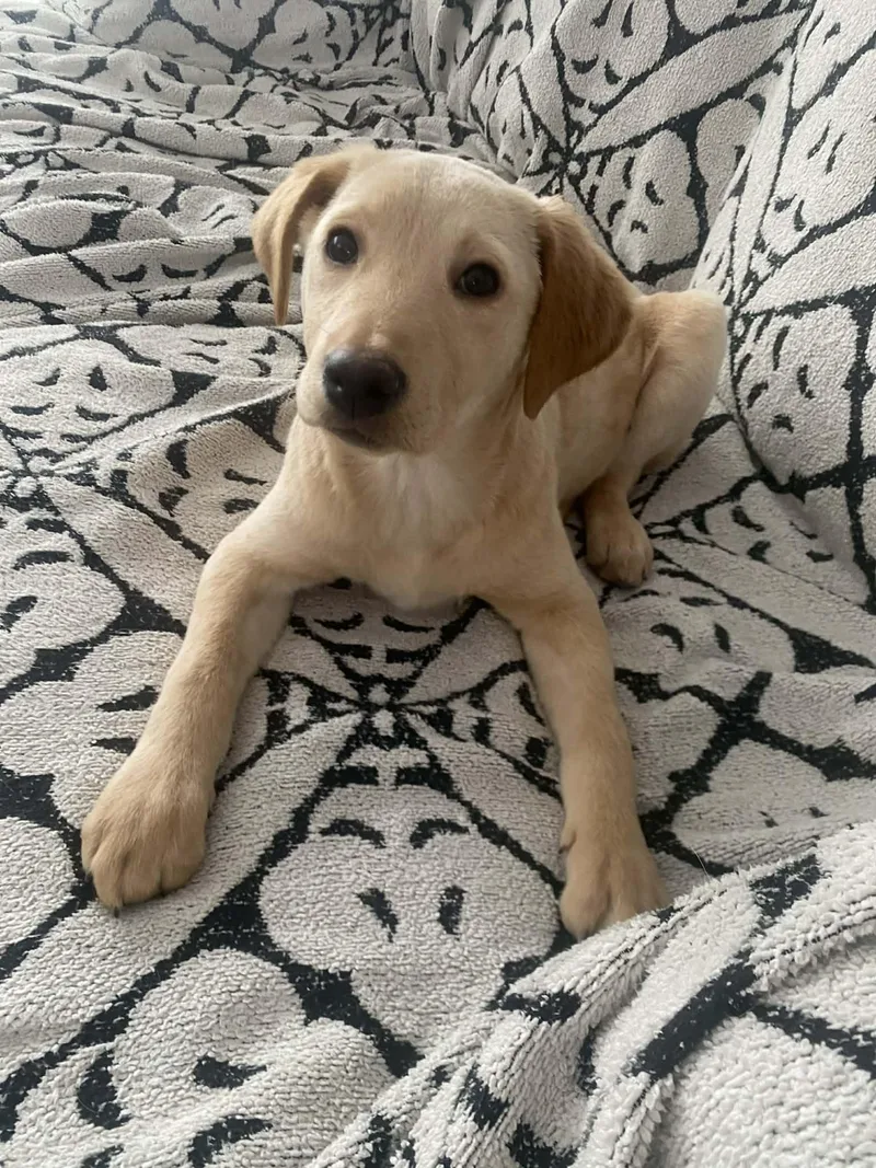 Phyllis & Phoebe thumbnail 5