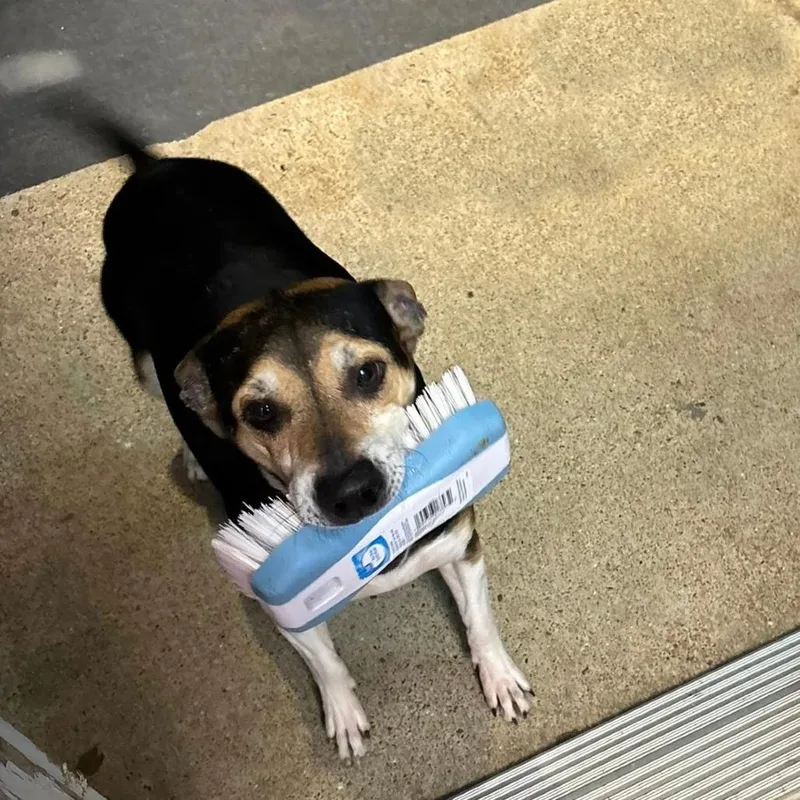 John Boy thumbnail 2