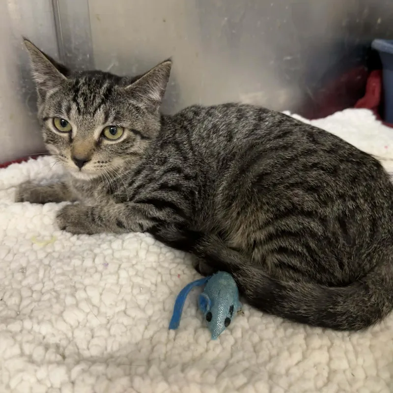 Daxton & Jaxlynn thumbnail 2