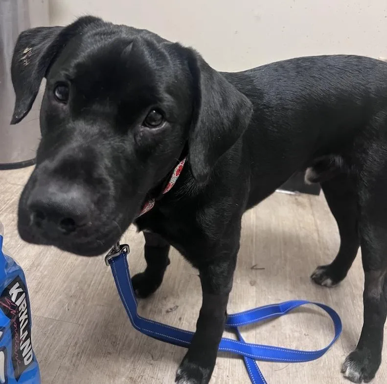 Onyxnot Accepting Applications Yet!