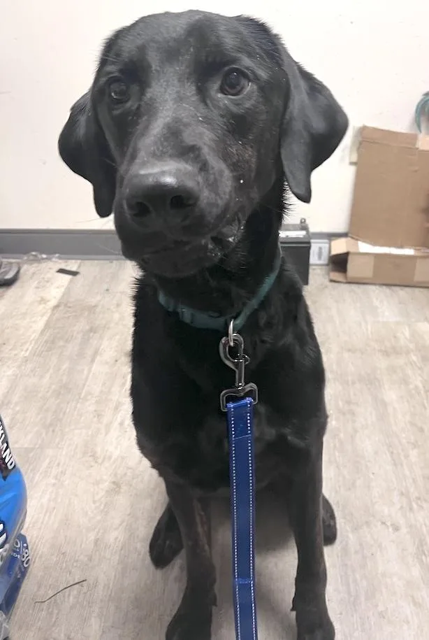 Milonot Accepting Applications Yet!!!