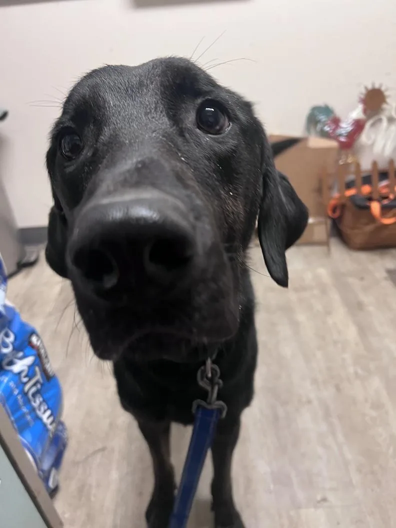 Milonot Accepting Applications Yet!!! thumbnail 2