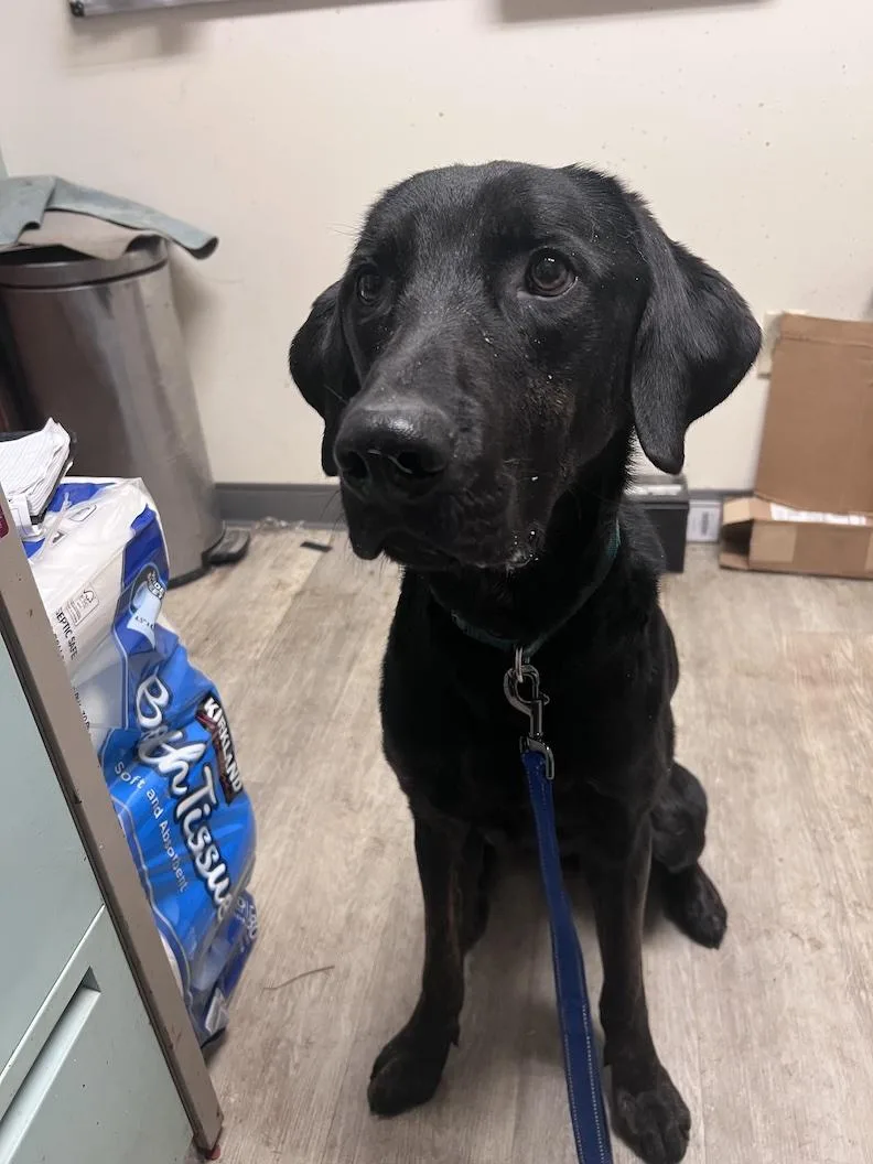 Milonot Accepting Applications Yet!!! thumbnail 3