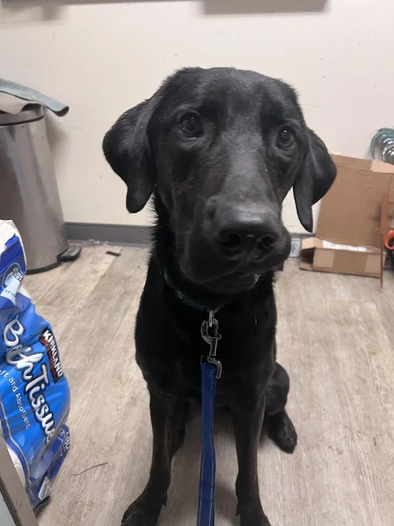 Milonot Accepting Applications Yet!!! thumbnail 4