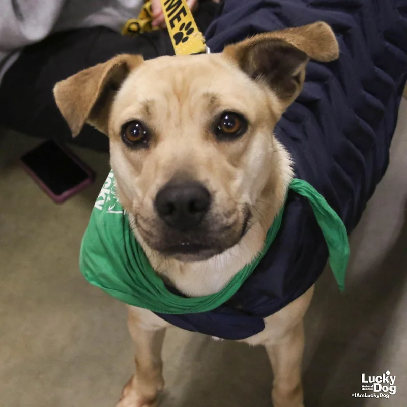 Brandice thumbnail 2