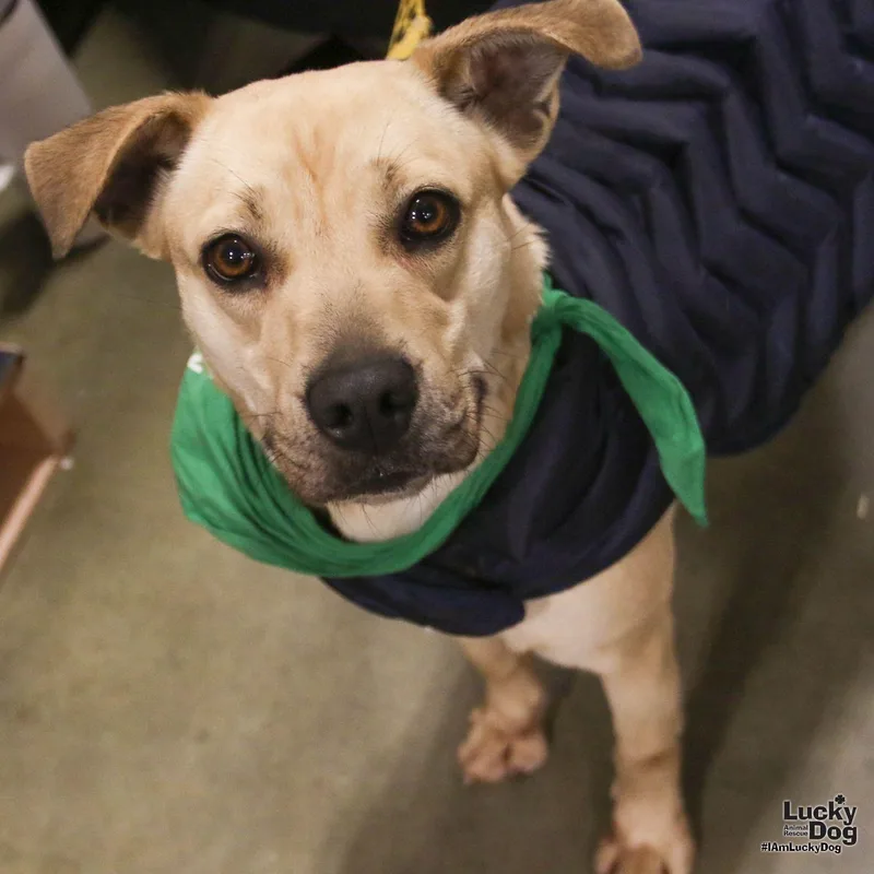 Brandice thumbnail 3