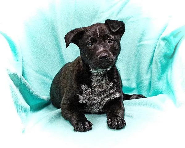 Sebastian thumbnail 2