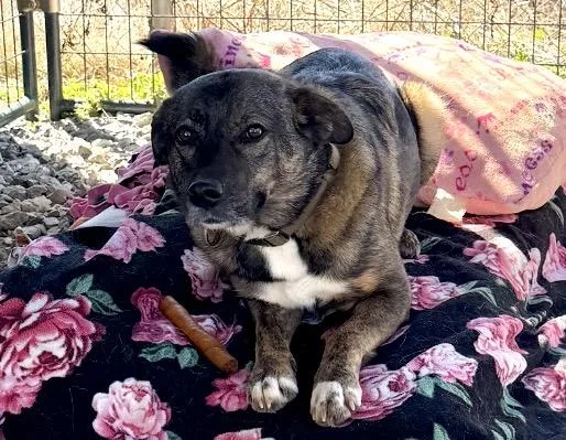 Slim Sadie thumbnail 2