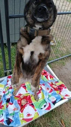 Slim Sadie thumbnail 3