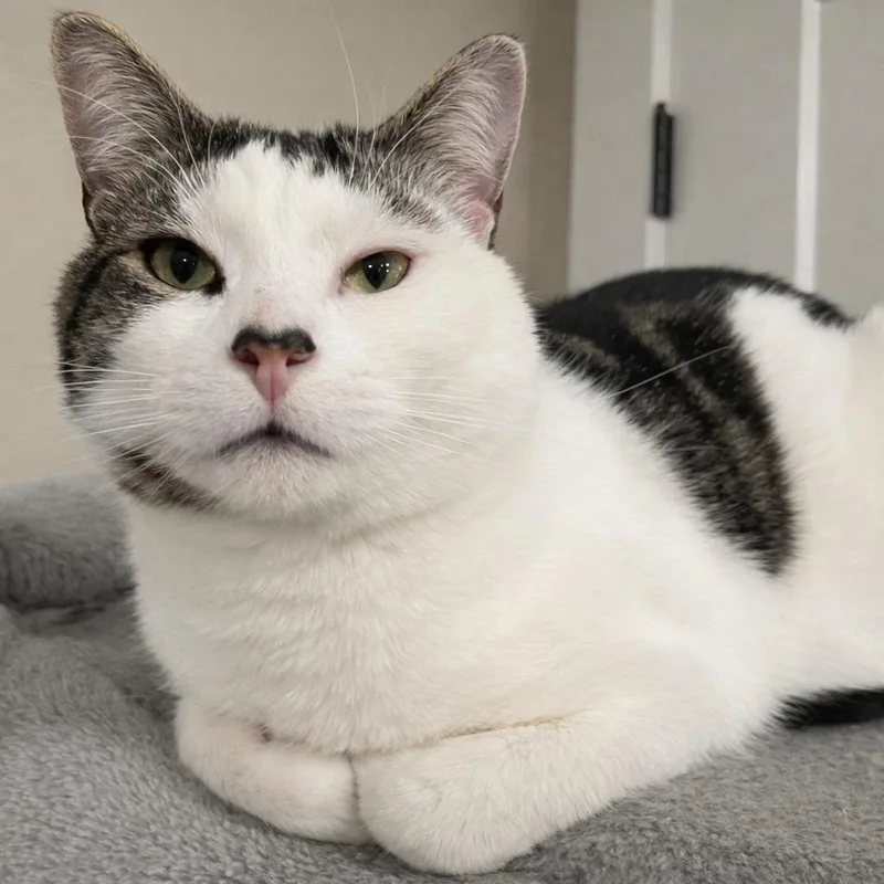 Buttjuice & Mast thumbnail 2