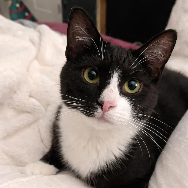 Buttjuice & Mast thumbnail 3