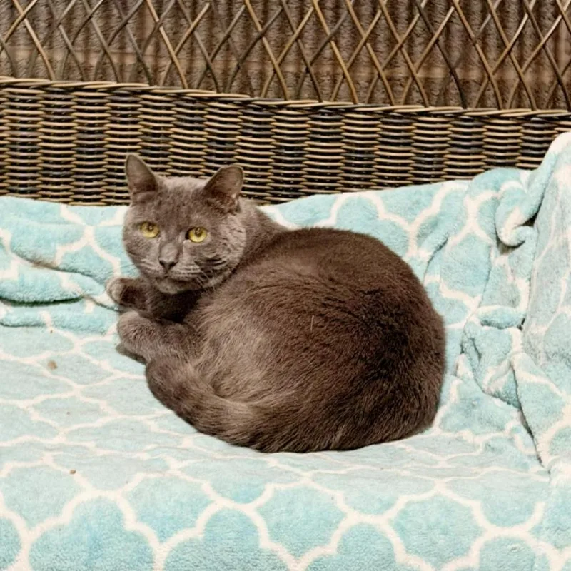 Gary Lou thumbnail 2