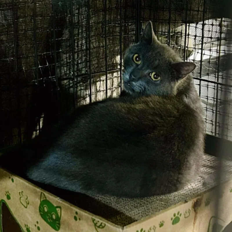 Gary Lou thumbnail 3