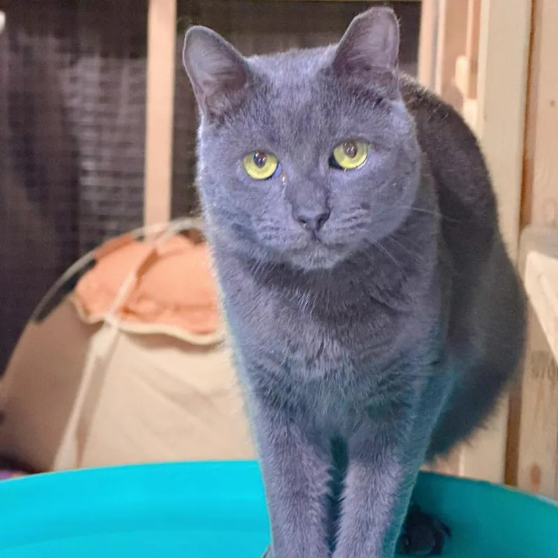 Gary Lou thumbnail 4