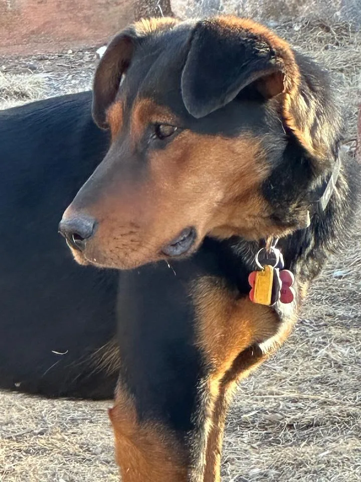 Midnight thumbnail 3