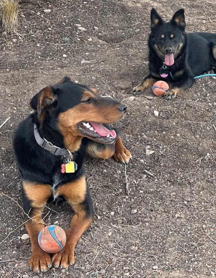 Midnight thumbnail 4