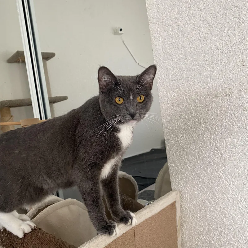 Teddy And Sophie thumbnail 2