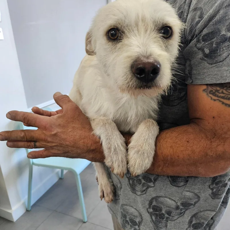 Blizzard thumbnail 3