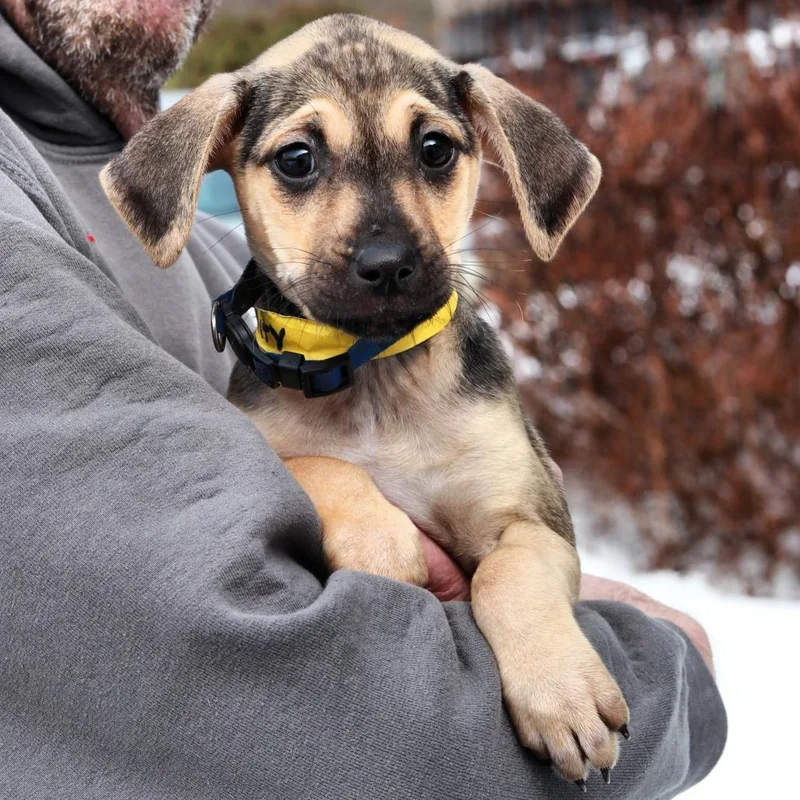 Ct Trinity Avail Mar