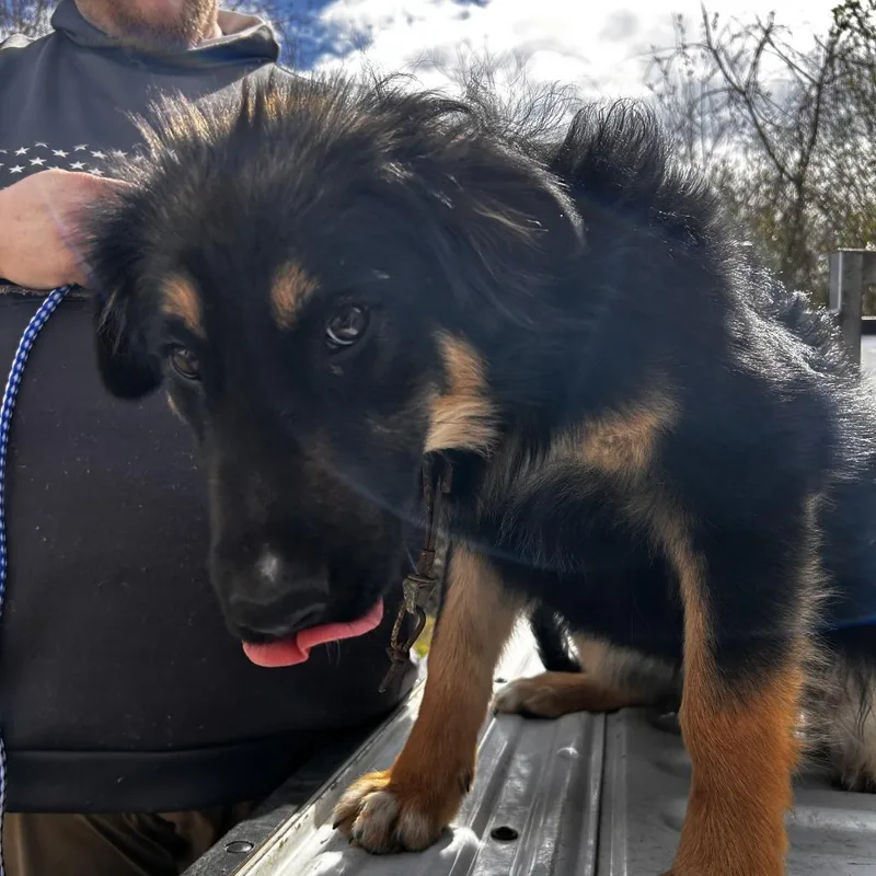 Ct Winston thumbnail 2