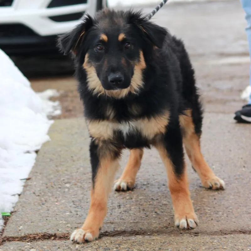 Ct Winston thumbnail 3