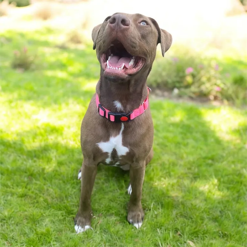 Coco Ann thumbnail 3