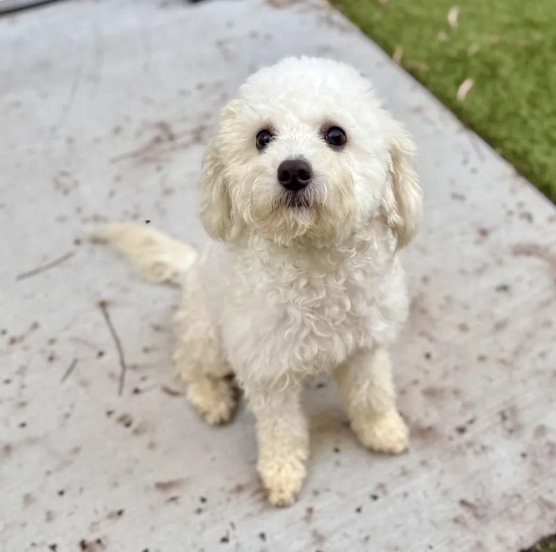 Pretty Mama thumbnail 2