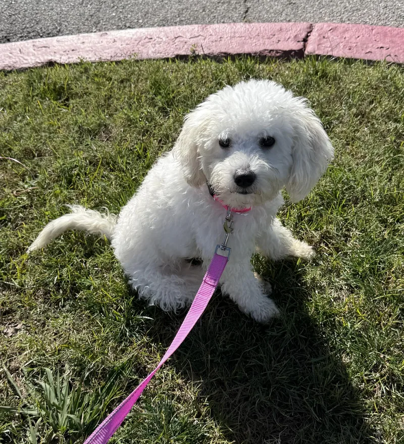 Pretty Mama thumbnail 3