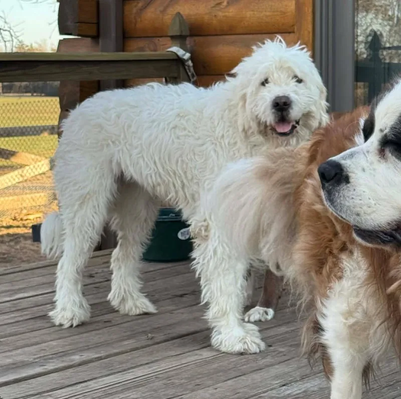 Sabrina Carpenter thumbnail 2