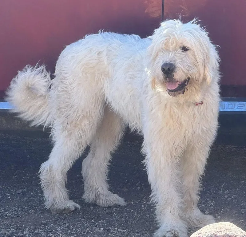 Sabrina Carpenter thumbnail 3