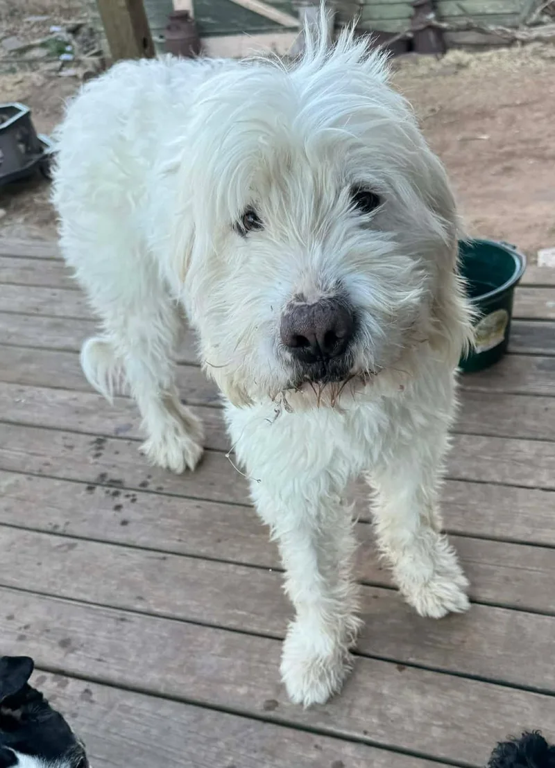 Sabrina Carpenter thumbnail 4