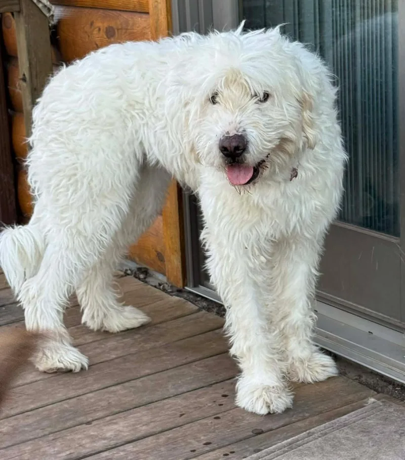 Sabrina Carpenter thumbnail 5