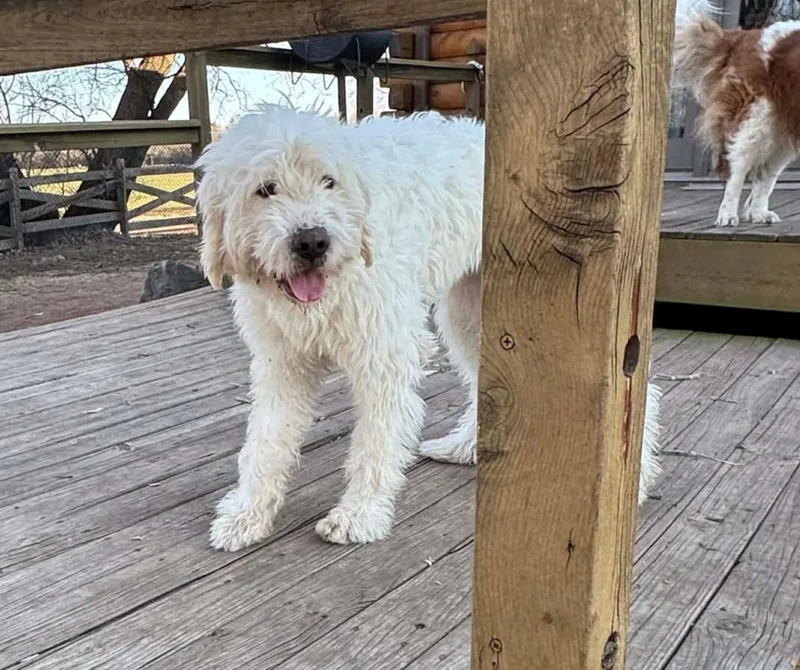 Sabrina Carpenter thumbnail 6