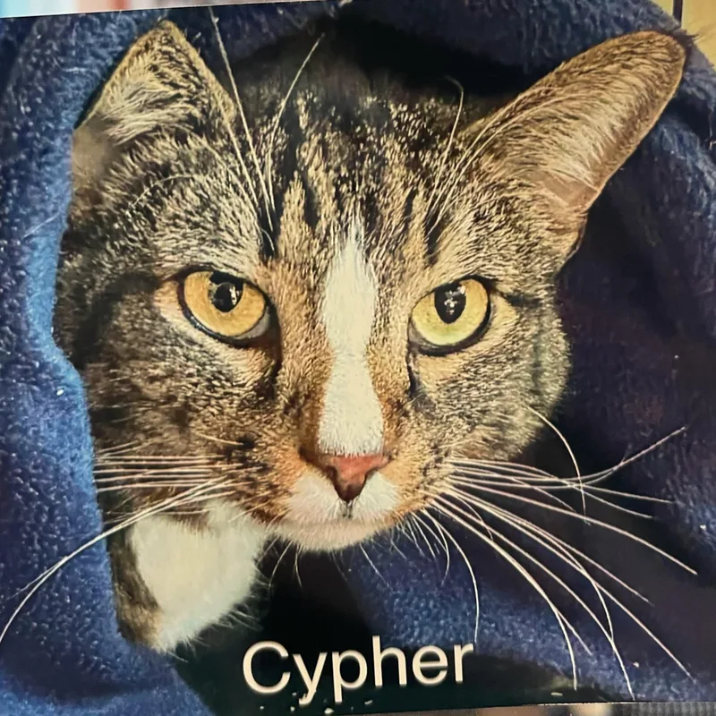 Cypher