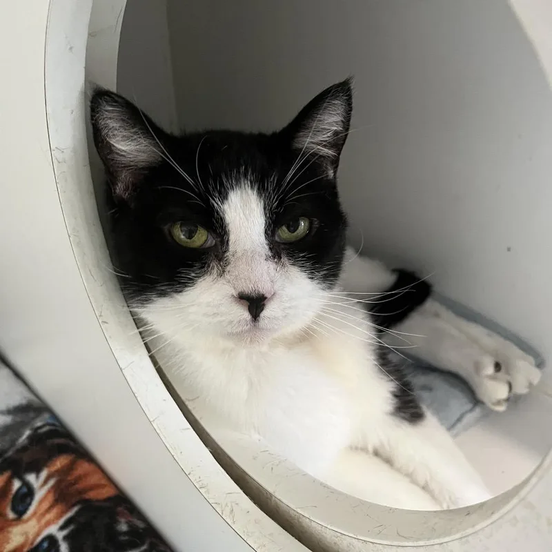 Little One thumbnail 2