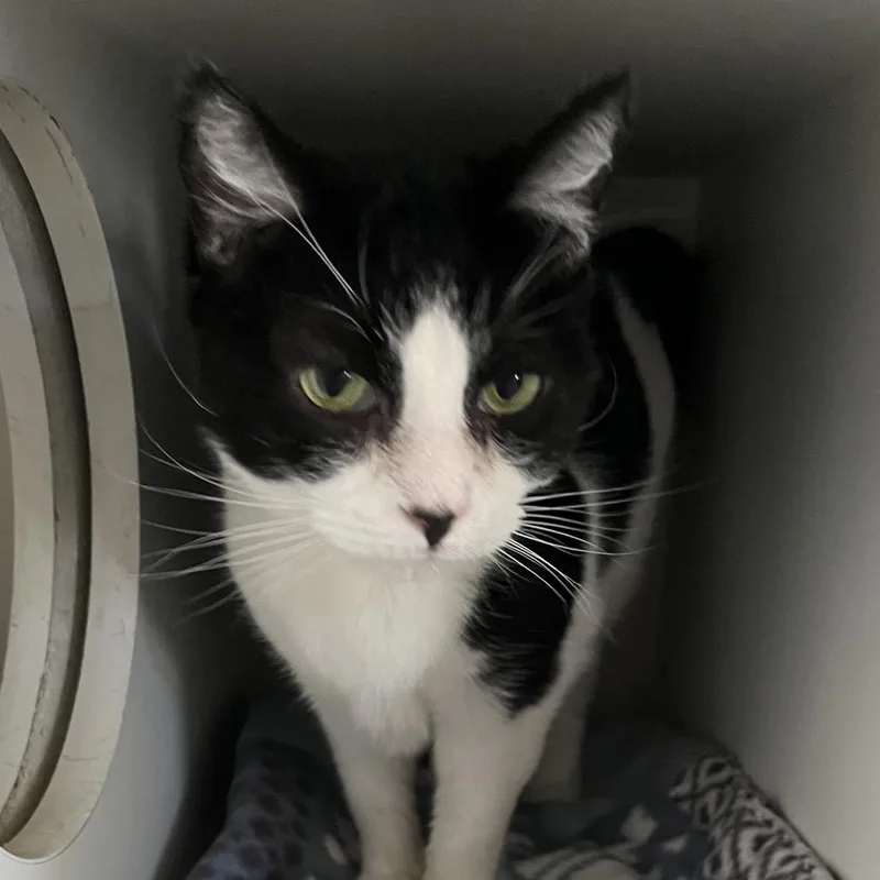 Little One thumbnail 3