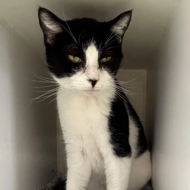 Little One thumbnail 4