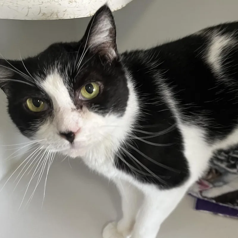 Little One thumbnail 5