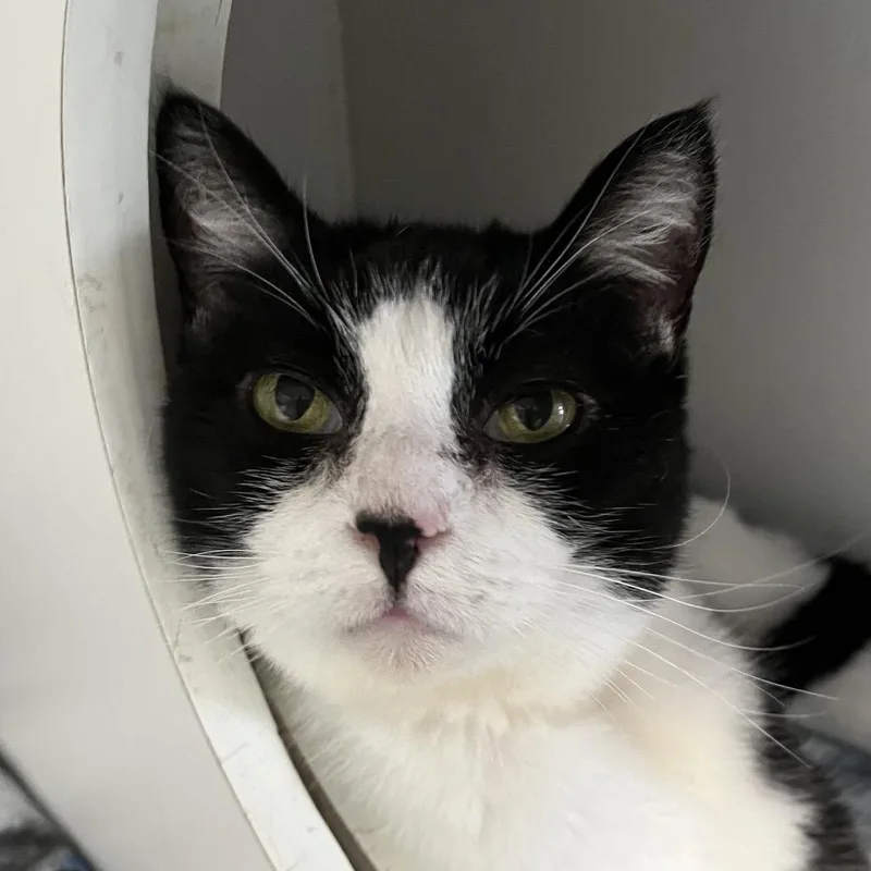 Little One thumbnail 6