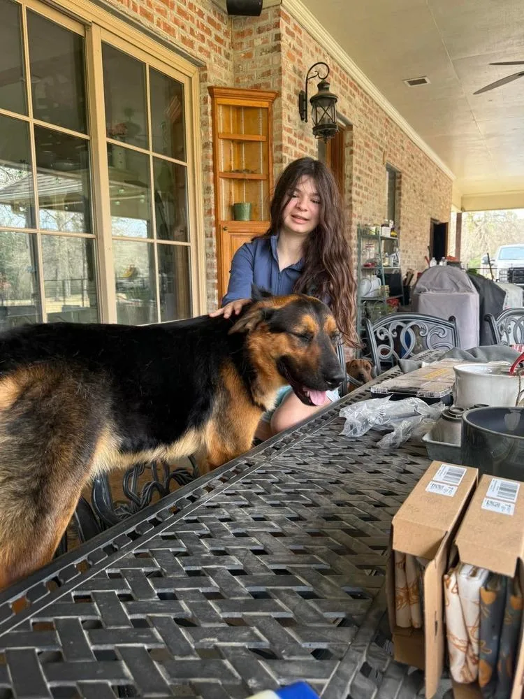 Sampson  "sam" thumbnail 3