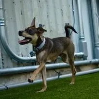 John Boy thumbnail 4