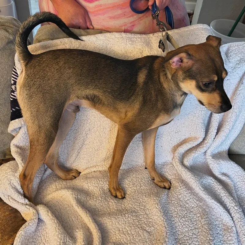 John Boy thumbnail 6