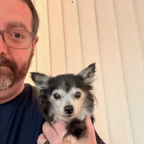 Penny  Tiny & thumbnail 3