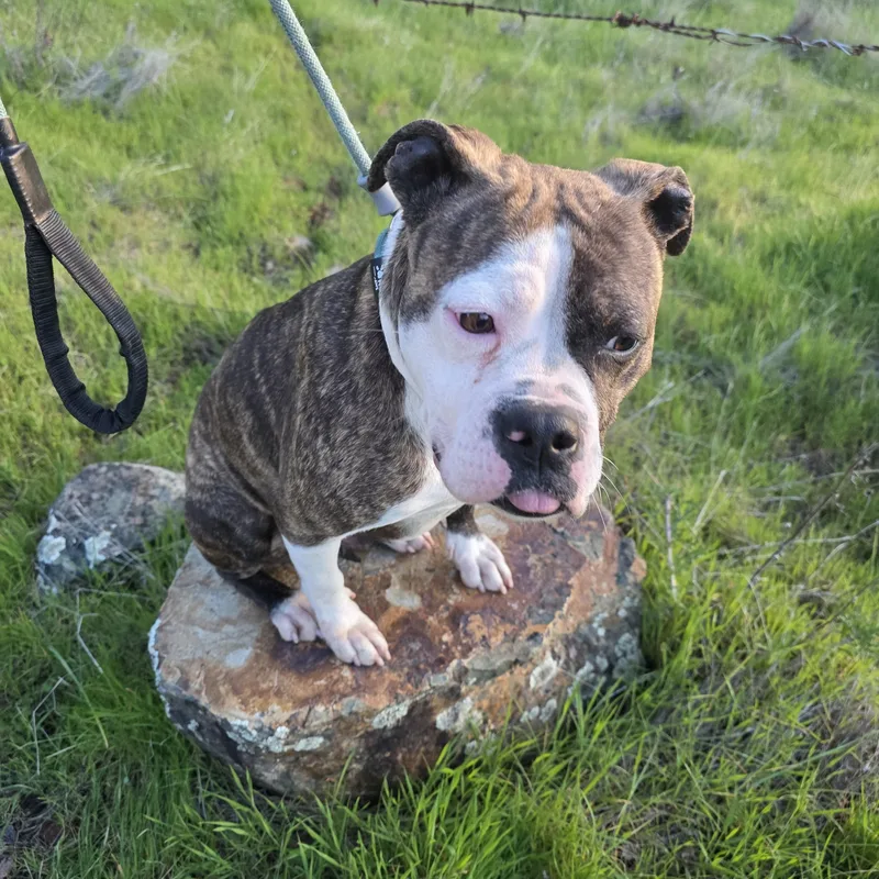 Donna Summers thumbnail 2