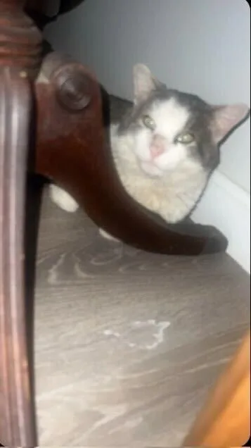 Mcdreamy thumbnail 2