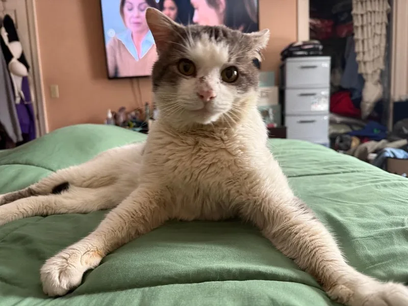 Mcdreamy thumbnail 3