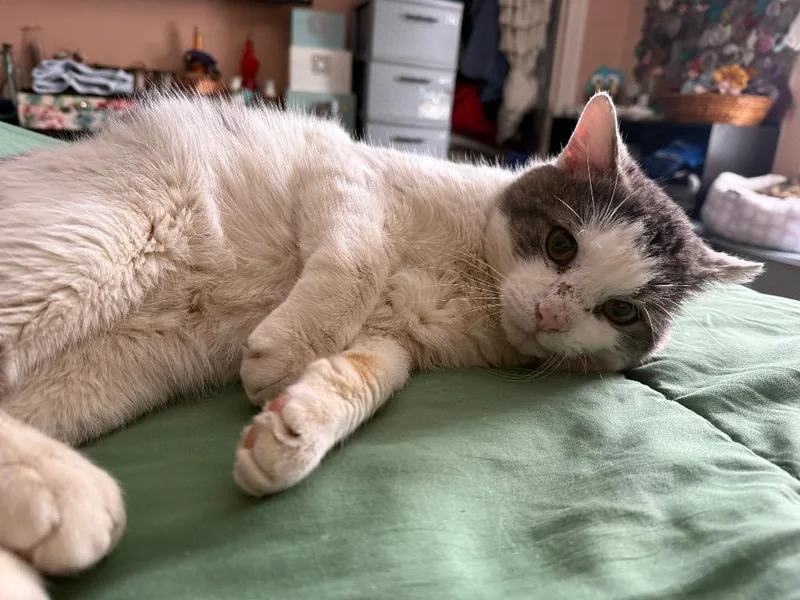 Mcdreamy thumbnail 4