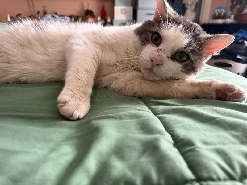 Mcdreamy thumbnail 5