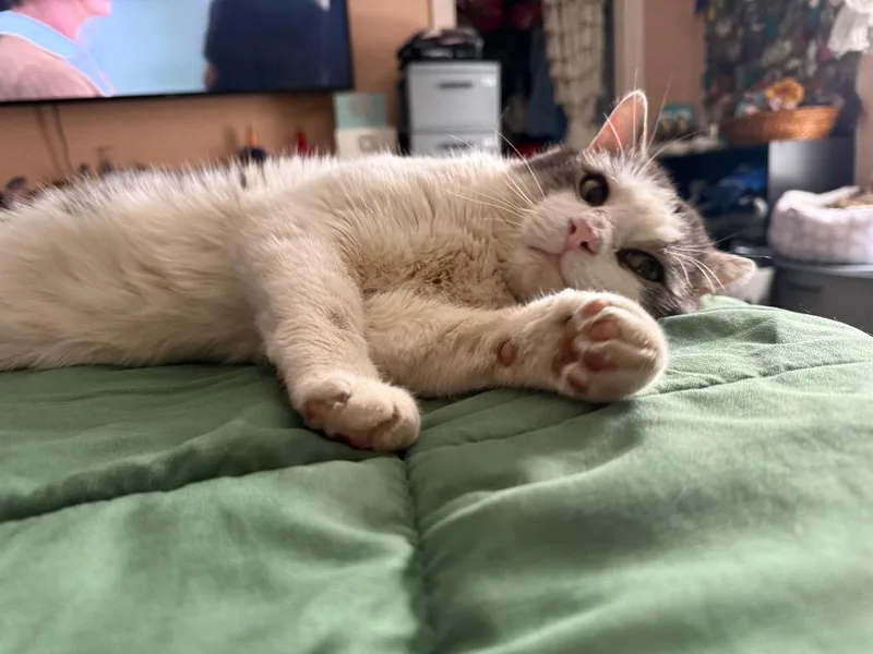 Mcdreamy thumbnail 6