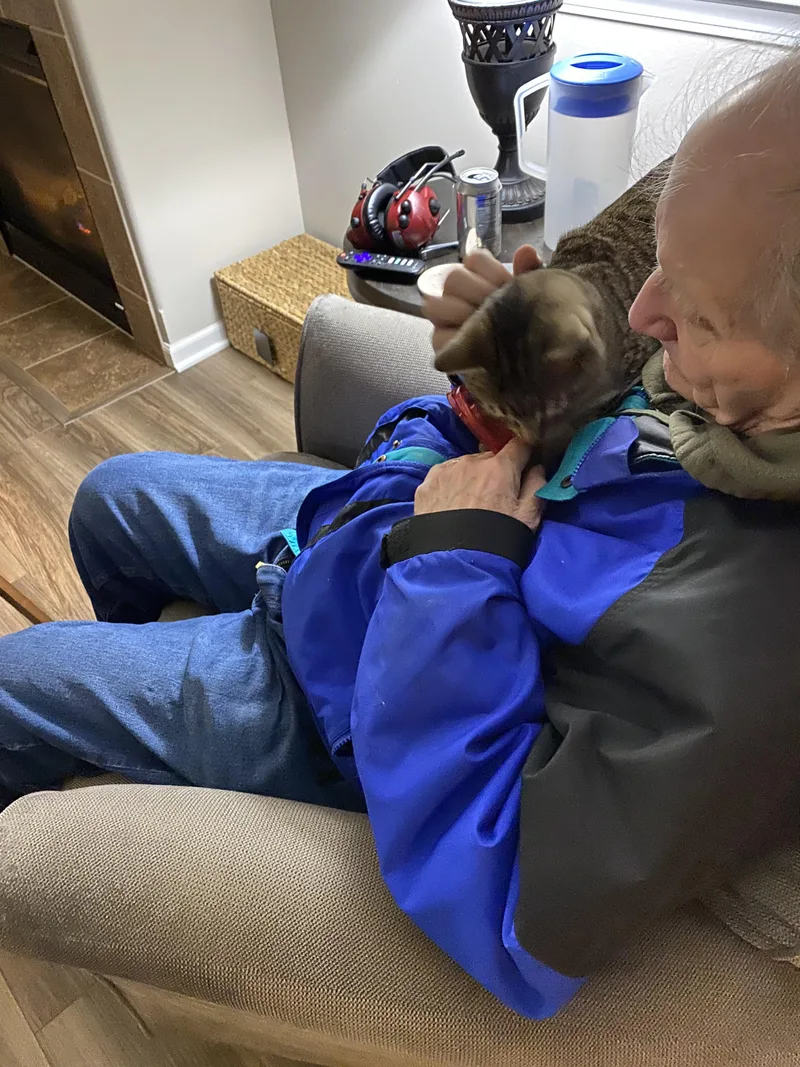 Tatum  Purrfect Velcro thumbnail 3